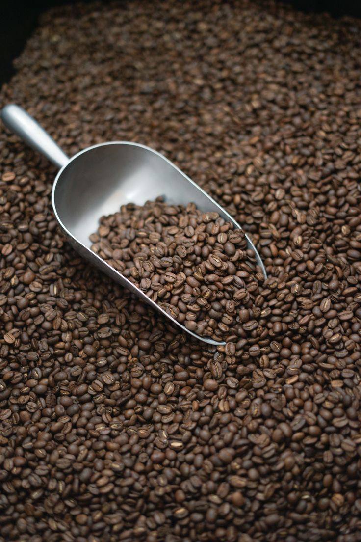 Gayo Arabica Coffee